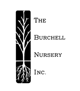 THE BURCHELL NURSERY INC. trademark