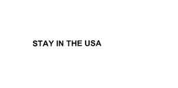 STAY IN THE USA trademark
