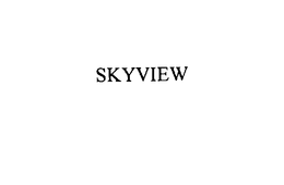 SKYVIEW trademark