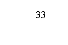 33 trademark