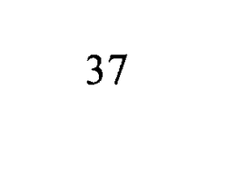37 trademark