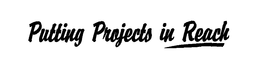 PUTTING PROJECTS IN REACH trademark