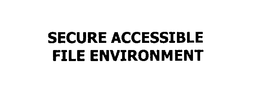 SECURE ACCESSIBLE FILE ENVIRONMENT trademark