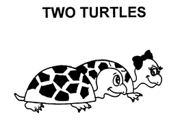 TWO TURTLES trademark