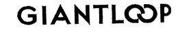 GIANTLOOP trademark