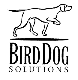 BIRDDOG SOLUTIONS trademark