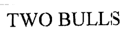 TWO BULLS trademark