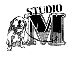 MSTUDIO trademark