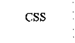 CSS trademark