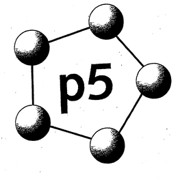 P5 trademark