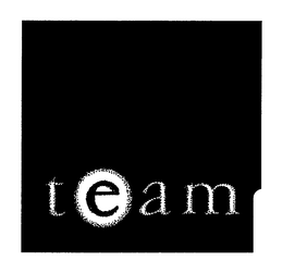 TEAM trademark