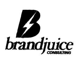 B BRANDJUICE CONSULTING trademark