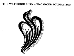 THE WATERBOR BURN AND CANCER FOUNDATION trademark