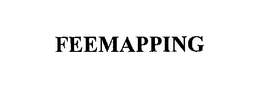 FEEMAPPING trademark