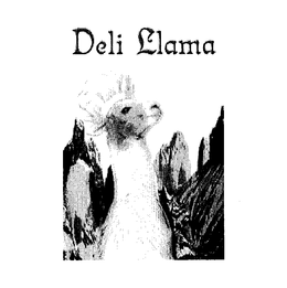 DELI LLAMA trademark