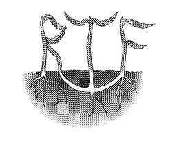 RTF trademark