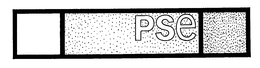 PSE trademark