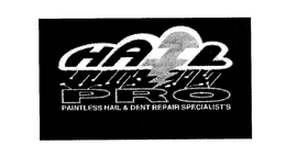 HAIL PRO trademark