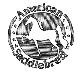 AMERICAN SADDLEBRED trademark