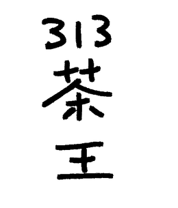 313 trademark