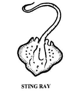 STING RAY trademark