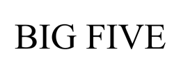 BIG FIVE trademark
