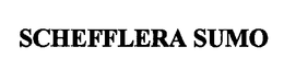 SCHEFFLERA SUMO trademark