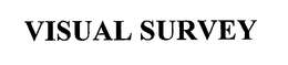 VISUAL SURVEY trademark