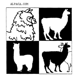 ALPACA.COM trademark