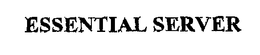 ESSENTIAL SERVER trademark