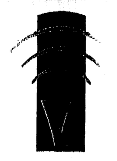 V trademark