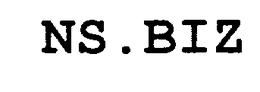NS.BIZ trademark