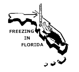 FREEZING IN FLORIDA trademark