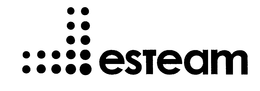 ESTEAM trademark