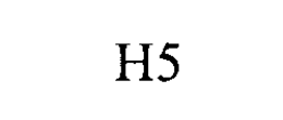 H5 trademark