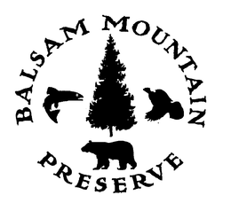 BALSAM MOUNTAIN PRESERVE trademark