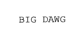 BIG DAWG trademark
