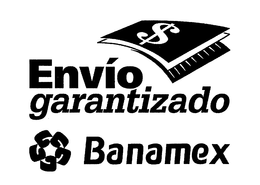 ENVIO GARANTIZADO BANAMEX trademark
