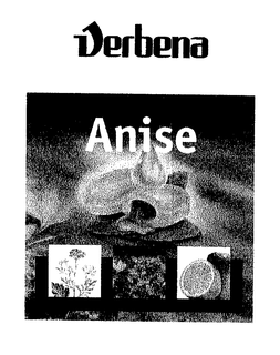 VERBENA ANISE trademark