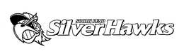 SOUTH BEND SILVER HAWKS trademark