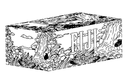 FIJI trademark