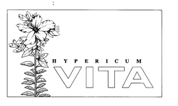 HYPERICUM VITA trademark