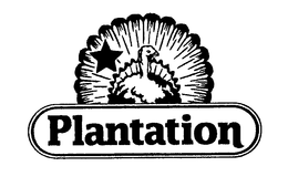 PLANTATION trademark
