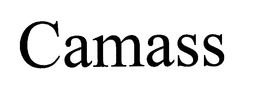 CAMASS trademark