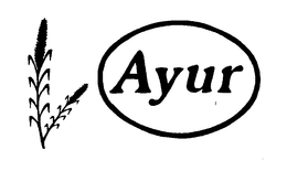 AYUR trademark