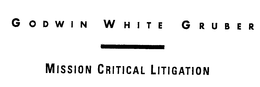 GODWIN WHITE GRUBER MISSION CRITICAL LITIGATION trademark
