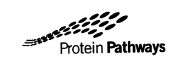 PROTEIN PATHWAYS trademark
