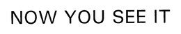 NOW YOU SEE IT trademark