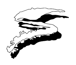 S trademark