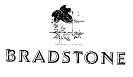 BRADSTONE trademark